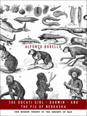 cover image of The Ducati Girl, Darwin, and the Pig of Nebraska